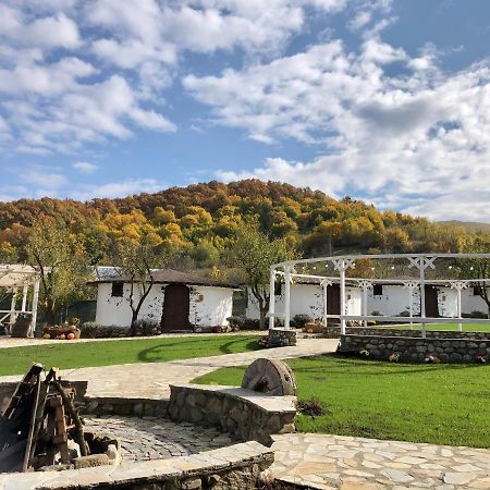 Satul Cu Flori Hotel Buzau Luaran gambar