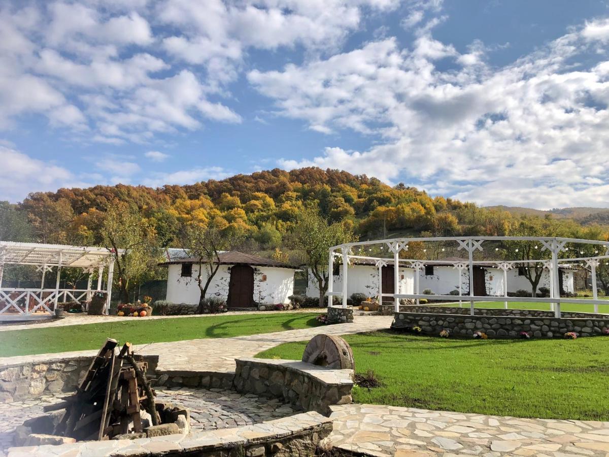 Satul Cu Flori Hotel Buzau Luaran gambar